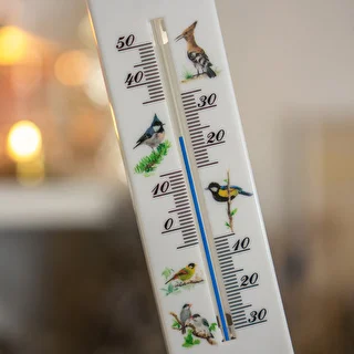 Yleismittari grafiikalla - linnut (-30°C - +50°C) 20cm – photo 4