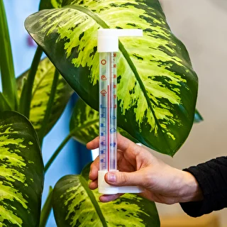 Ulkotermometri läpinäkyvällä asteikolla (-70°C - +50°C) 23cm mix – photo 3