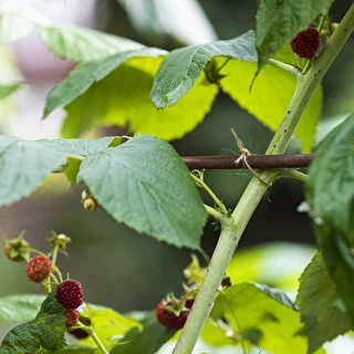 Juuttinaru 1,5 mm/100 m/100 g – photo 9