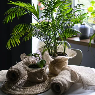 Juuttikangas 20 cm / 5 m – photo 11