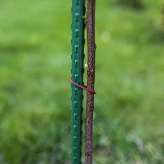 Bioogród puutarhakepit – päällystetty teräs, 1,5 m, fi 11 mm, 10 kpl – photo 5