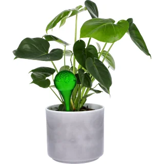 Kastelupallot kasveille, vihreät läpinäkyvät, 400 ml, 4 kpl – photo 6
