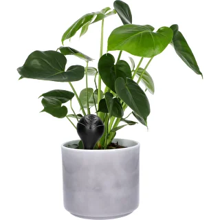 Kastelupallo kasveille, musta matta keraamisella jalalla (pakkauksessa) 400 ml – photo 8