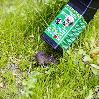 Hiirenloukku - elävänä pyydystävä – photo 10