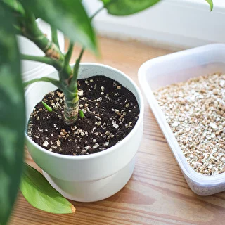 Vermikuliitti ruukkukasveille ja puutarhanhoitoon, 2 L – photo 8