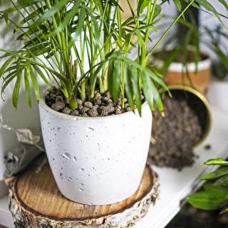 Kevytsora ruukkukasveille, puutarhanhoitoon ja lasimetsiin 10–20 mm, 4L – photo 11