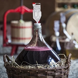 Burgundin viinihiiva ilman lisääntymistä, 20 ml – photo 8