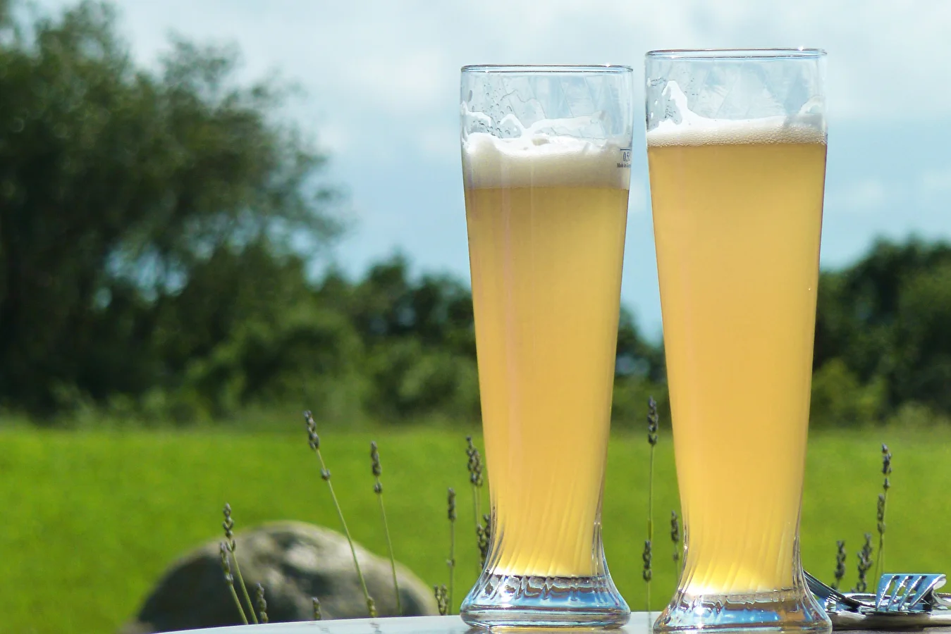 Vehnäolut "Valkoinen"