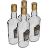 0,5 L pullo kierrekorkilla ja 2-värisellä viskipainatuksella - 4 kpl - 2 