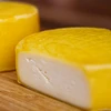 Bakteeriviljelmät gouda-juustolle - 5 