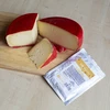 Bakteeriviljelmät gouda-juustolle - 2 