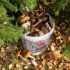 Elintarvikeämpäri GWIOZDA - kannella, 10 L - 10 