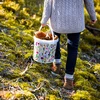 Elintarvikeämpäri kannella 10 L - vihannekset - 2 