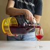 Enovini® OK RED - happamuutta alentava viinihiiva 7 g - 10 