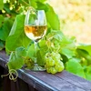 Enovini® OK WHITE - viinihiiva, joka alentaa happamuutta 7 g - 9 