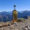 Everest-pullo 250 ml kierrekorkilla fi28, 12 kpl - 9 