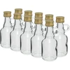 Galonipullo 40 ml kierrekorkilla - 10 kpl - 5 