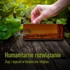 Hiirenloukku – elävänä pyydystävä, läpinäkyvä, 2 kpl - 7 