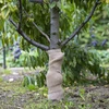 Juuttinauha 10 cm/5 m - 5 