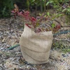 Juuttinauha 10 cm/5 m - 6 