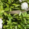 Juuttinauha 5 cm / 8 m - 5 