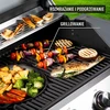 Kaasugrilli dragON BBQ201, 18,8 kW, hopea - 6 