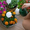 Kasvien kastelupallo, valkoinen matta keraamisella jalalla, 400ml - 8 