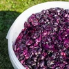 Käymisastia 30 L kannella - 13 