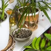 Kevytsora ruukkukasveille, puutarhanhoitoon ja lasimetsiin 10–20 mm, 4L - 10 