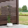 Koristeellinen pergola - Pyramidi, 150 cm - 5 