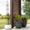 Koristeellinen pergola - Pyramidi, 150 cm - 6 