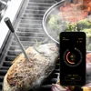 Kulinaarinen lämpömittari langattomalla Bluetooth-anturilla - 13 