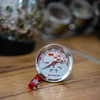 Lämpömittari kaksoisasteikolla (30°C - 100°C) / (50°C - 300°C) 13,0cm - 4 