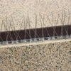 Lintupiikit, metallilistalla, 10 kpl - 12 