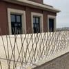 Lintupiikit, muovisella listalla, 10 kpl - 12 