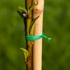 Litteä puutarhalanka, PVC-päällystetty 50m x 2mm - 2 