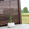 Metallinen pergola - Pyramidi, 135 cm - 4 