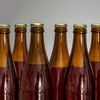 Olutpullo 0,5 L - pakkaus 8 kpl - 5 