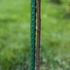 PE-pinnoitettu terästikku 0,6 m x 8 mm - 3 