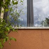 Piikit lintuja vastaan - 40x9x8,5cm, 3 kpl - 3 