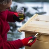 Savustin 115 L dragON Wood 60E puinen, sähköisellä lämmityselementillä ja ohjaimella - 14 