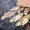 Savustukseen/grillaukseen sirut, leppä, 450 g, kl. 8 - 13 
