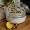 Sienien, hedelmien, vihannesten ja yrttien kuivuri 125 W - 10 