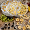 Sienien, hedelmien, vihannesten ja yrttien kuivuri 125 W - 11 
