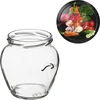 TO Amfora 580 ml purkki värillisellä kannella fi82/6-6kpl - 12 