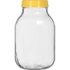 Twist-off-purkki 3 L ja muovikansi fi 100, kahvalla - 3 