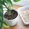 Vermikuliitti ruukkukasveille ja puutarhanhoitoon, 2 L - 8 