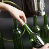 Viinipullo 0,75L korkkeineen ja kutistekapseleineen - 12 kpl - 8 