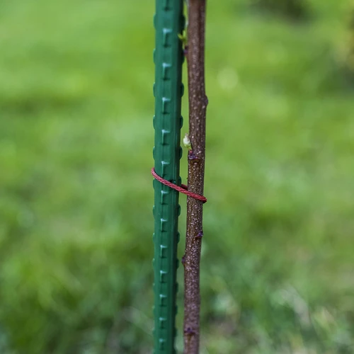 Bioogród-puutarhakepit – päällystetty teräs, 1,8 m, fi 11 mm, 10 kpl - 5