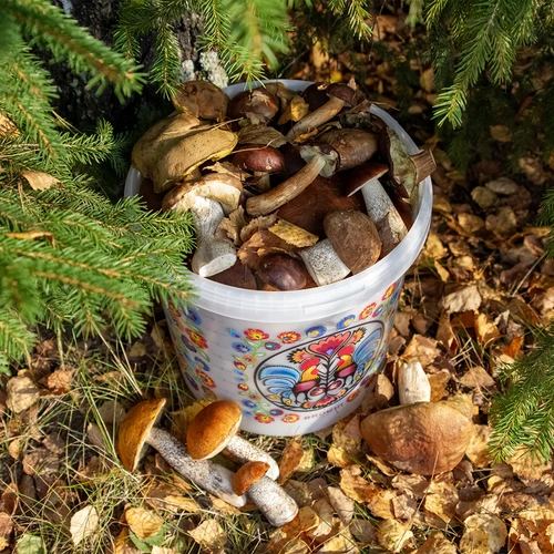 Elintarvikeämpäri GWIOZDA - kannella, 10 L - 10